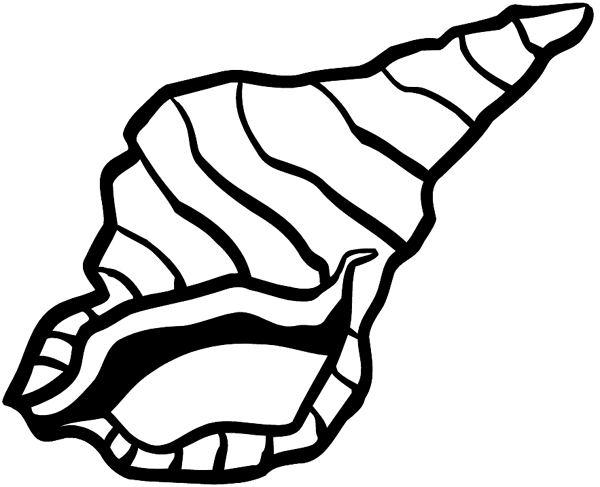 Seashell vinyl decal. Customize on line.  Animals Insects Fish 004-1258  
